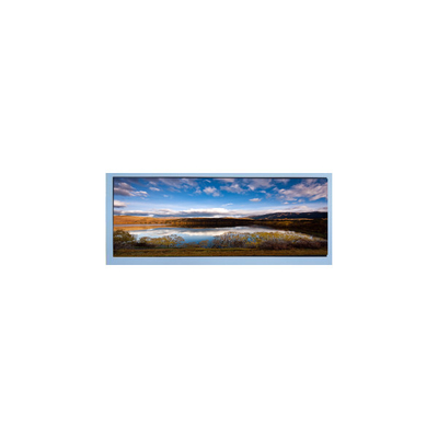 قیمت خوب M102AWF2 R2 10.3 اینچ 1920*720 صفحه نمایش LCD آنلاین