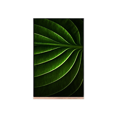 قیمت خوب صفحه LCD 10.1 اینچ برای ماژول LCD NV101WUM-N53 آنلاین