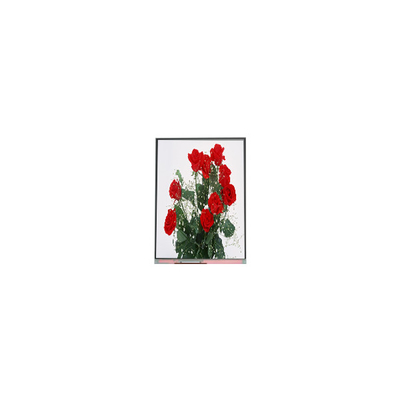 قیمت خوب C065SWR1-0 صفحه نمایش LCD 6.5 اینچی 720*1560 صفحه نمایش LCD آنلاین