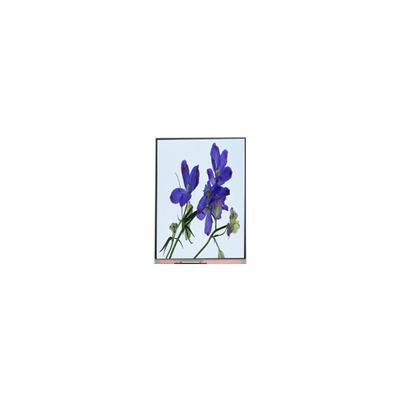 قیمت خوب C061SWR2-0 صفحه نمایش LCD 6.1 اینچی صفحه نمایش LCD 600*1280 آنلاین