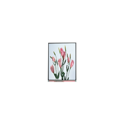 قیمت خوب 5.7 اینچ 720*1520 C057SWR2-0 صفحه نمایش LCD برای تلفن همراه آنلاین