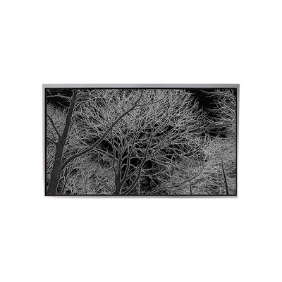 قیمت خوب 6.2 اینچ TA062VGHX01 صفحه نمایش LCD برای تلفن همراه با صفحه لمسی آنلاین