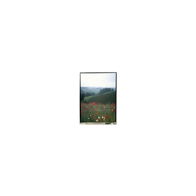 قیمت خوب 5.5 اینچ صفحه LCD LS055B1SX01B آنلاین