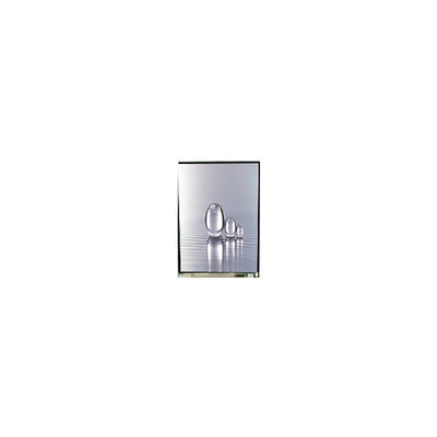 قیمت خوب LS038Y7DX01 3.8 اینچ 480*800 صفحه نمایش LCD آنلاین