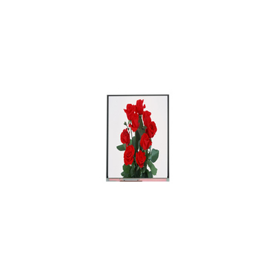قیمت خوب صفحه نمایش LCD جدید 6.2 اینچی C062SWP1-1 800*480 آنلاین