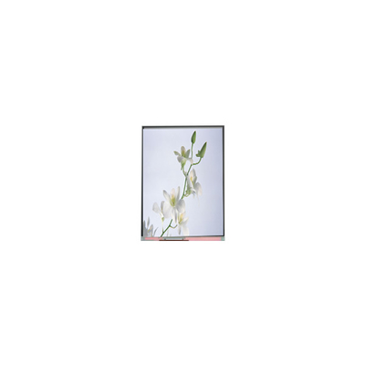 قیمت خوب C060SWZ1-0 NEW 6.0 اینچ 540*960 صفحه نمایش LCD آنلاین