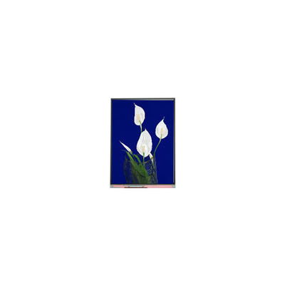 قیمت خوب فروش داغ 540*960 C054SWN4-0 صفحه نمایش LCD 5.4 اینچی آنلاین