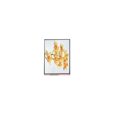 قیمت خوب C060SWY2-1 6.0 اینچ 480*854 پانل نمایش صفحه LCD TFT آنلاین