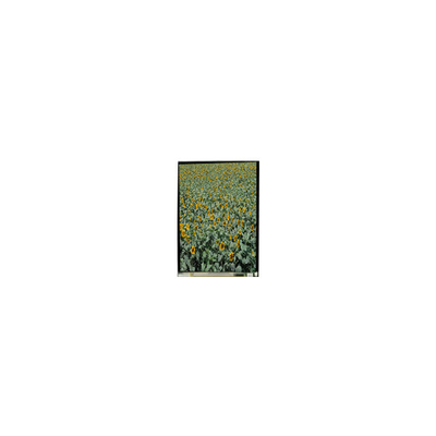 قیمت خوب 720*1280 LS053K3SX01 5.3 اینچ صفحه نمایش tft LCD صفحه نمایش LCD برای تلفن همراه آنلاین