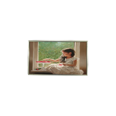 قیمت خوب 23.0 اینچ LTM230HT05-V 30 پین صفحه نمایش LCD 1920 * 1080 آنلاین