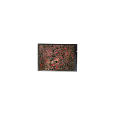 قیمت خوب 10.4 اینچ 800*600 C0A411-01D صفحه نمایش LCD آنلاین