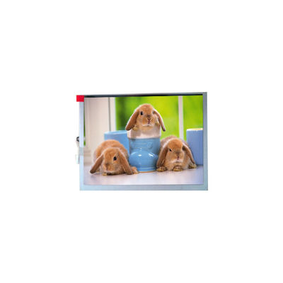 قیمت خوب صفحه نمایش TFT-LCD جدید TM070SDH03 7.0 اینچی با رزولوشن 800*600 آنلاین