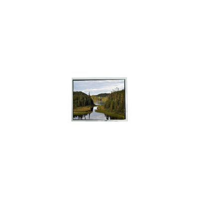 قیمت خوب جدید 12.1 اینچ EV121WXM-N80 صفحه نمایش LCD با وضوح 1280*800 آنلاین
