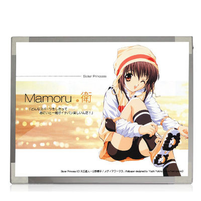 قیمت خوب M170EP01 V0 1028*1024 TN، معمولی سفید، رابط 69 پین انتقال دهنده صفحه نمایش LCD لپ تاپ آنلاین